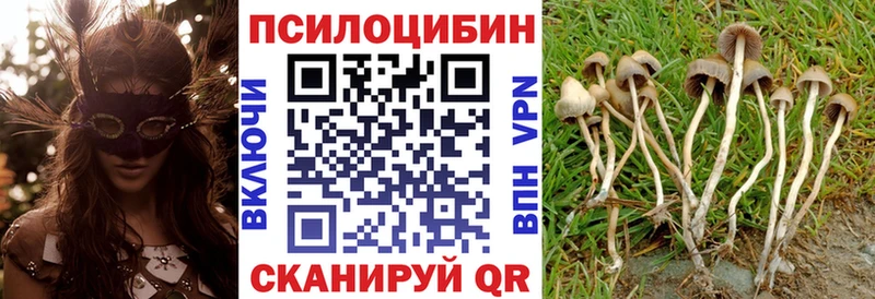 Псилоцибиновые грибы мицелий  Эртиль 